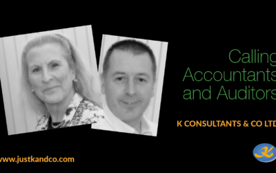 Calling Accountants and Auditors